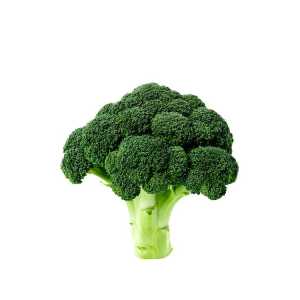 Brocoli x Kg
