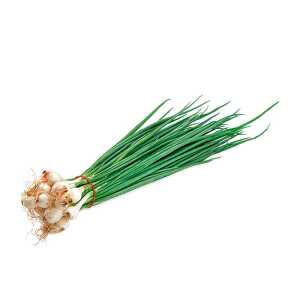 Cebolla china