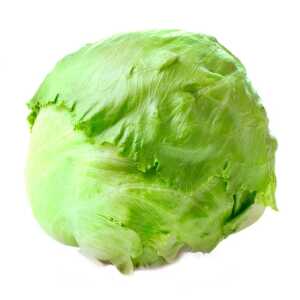 Lechuga americana