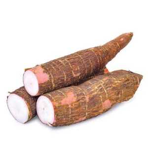 Yuca x Kg