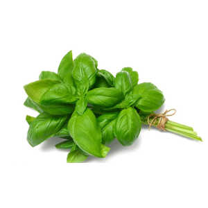 Albahaca