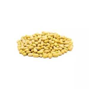 Frejol Camanejo 8.50 x kg